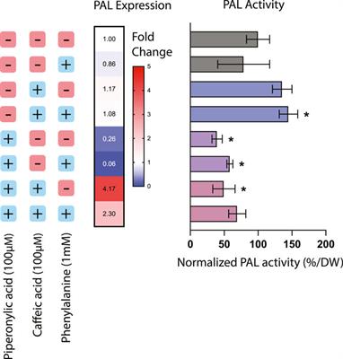 Targeted control of supporting pathways in paclitaxel biosynthesis with CRISPR-guided methylation